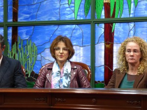 vers-oficial-sobre-lo-ocurrido-con-la-aficion-cd-san-luis-y-ud-tanque-categ-infantil-1dic-2016-1